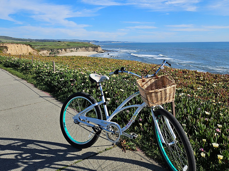 A light blue bicycle with a wicker basket parked along a seaside path, sunny sky, green coastal plants, and blue ocean in the background.