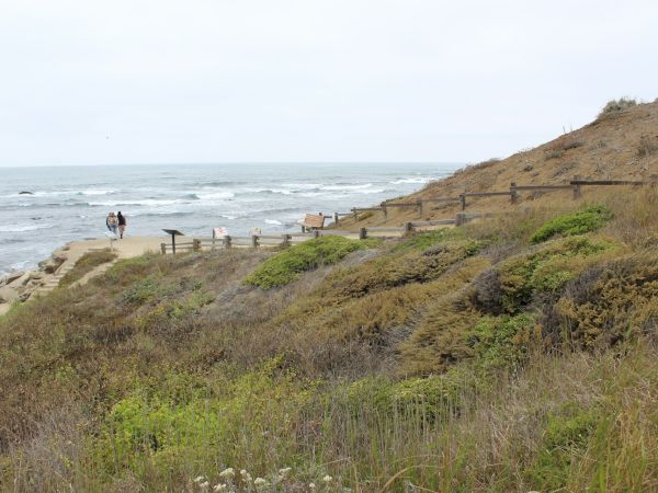 A coastal hillside path by the ocean with a few people walking along a boardwalk and rough vegetation in the foreground.