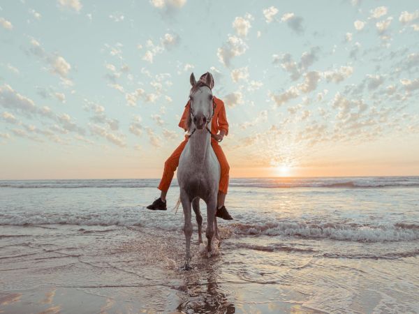 A person in orange clothing rides a white horse into shallow ocean water at sunset, waves gently lapping, sky dotted with clouds.