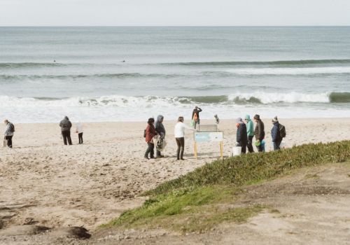 A group of people on a sandy beach near the water, some standing near a chalkboard or sign, with waves and a grassy dune in the foreground.