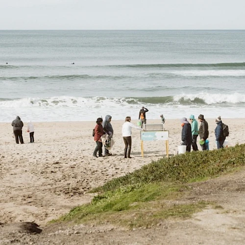 A group of people on a sandy beach near the water, some standing near a chalkboard or sign, with waves and a grassy dune in the foreground.