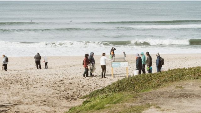 A group of people on a sandy beach near the water, some standing near a chalkboard or sign, with waves and a grassy dune in the foreground.
