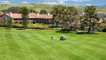 A wide, sunny park or golf course scene with freshly mowed green grass, a person pushing a mower or cart, trees, and a row of houses in the background.