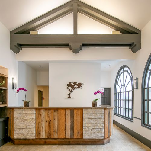 A stylish reception area with a wooden front desk, stone accents, arched windows, and decorative plants under a vaulted ceiling.
