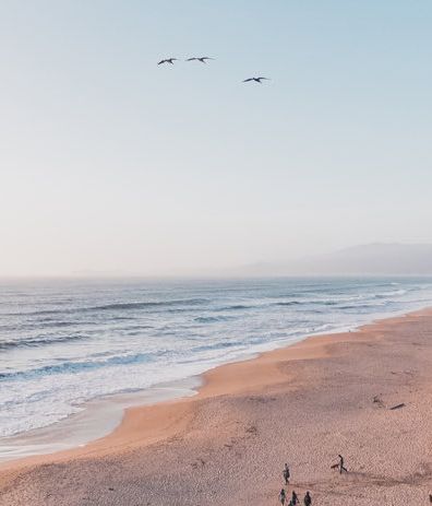 A tranquil coastline: a long sandy beach beside cliffs, gentle waves, a few people strolling, and three distant birds flying over a pale sky.