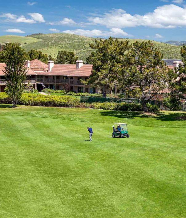 A person mowing a lush green field with a small tractor, with houses and trees in the background under a bright blue sky.