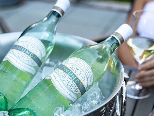 Two bottles of chilled mineral water in an ice bucket, with a person holding a wine glass nearby.